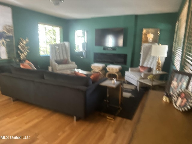 living room featuring hardwood / wood-style floors