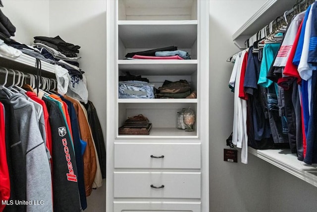 view of spacious closet