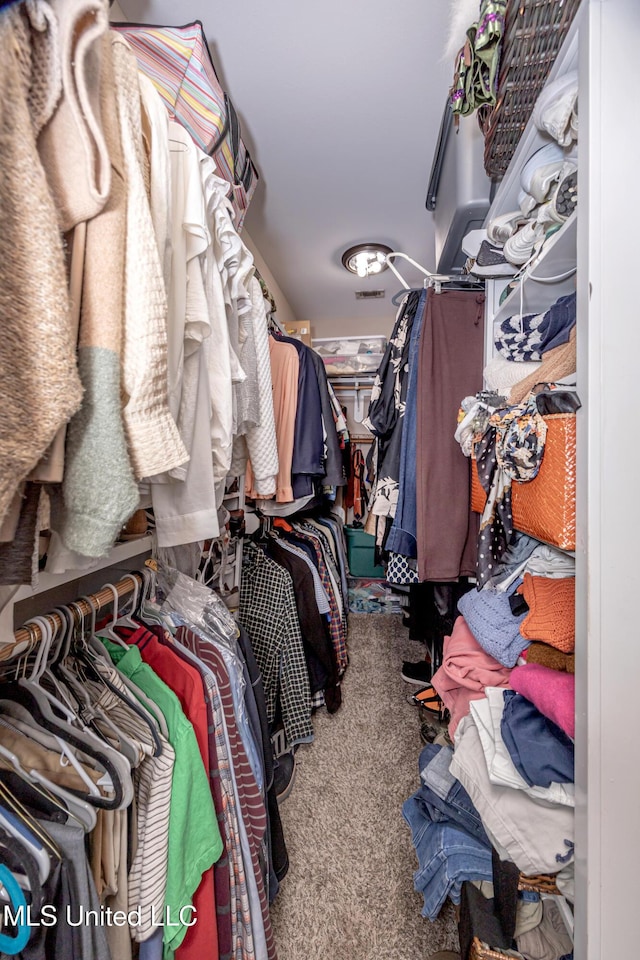 walk in closet with carpet floors