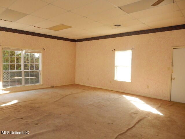 empty room featuring ceiling fan, a wealth of natural light, and a drop ceiling