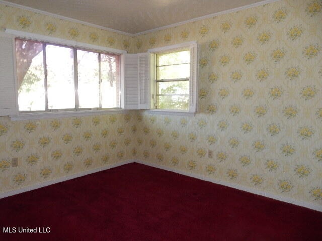 spare room featuring crown molding