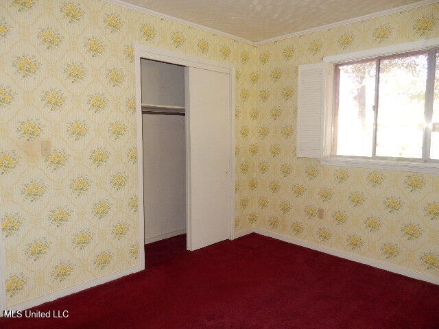 unfurnished bedroom featuring crown molding, carpet floors, and a closet