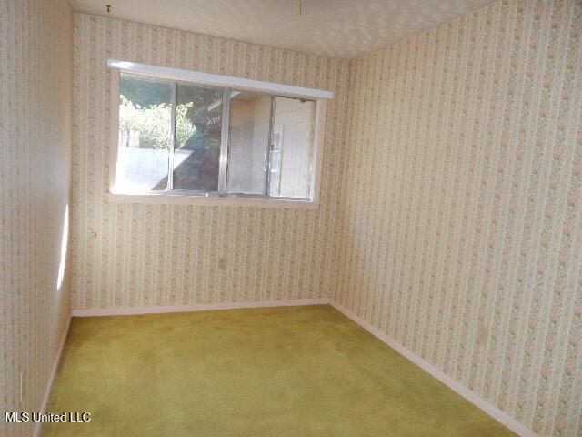 unfurnished room with carpet floors