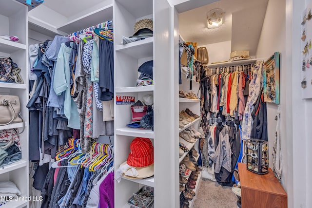 spacious closet with carpet