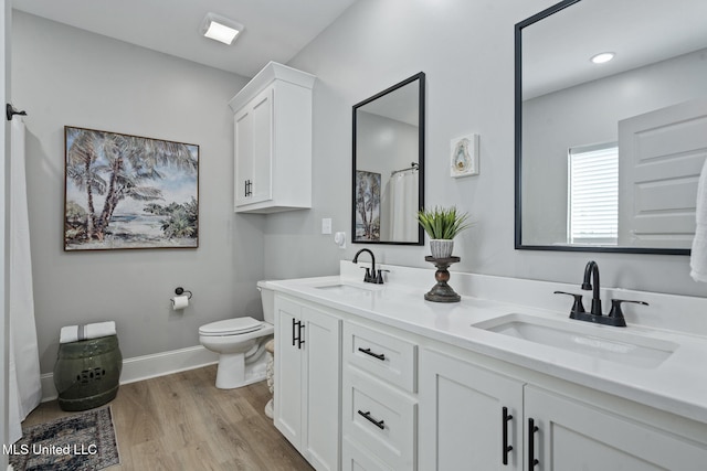 bathroom with vanity, toilet, and wood-type flooring