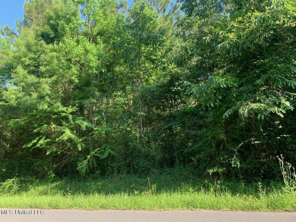 0 Josephine St, Pass Christian, MS 39571