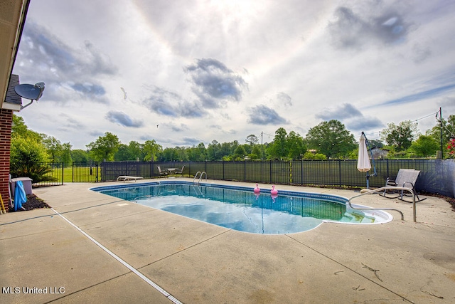 view of pool with a diving board and a patio