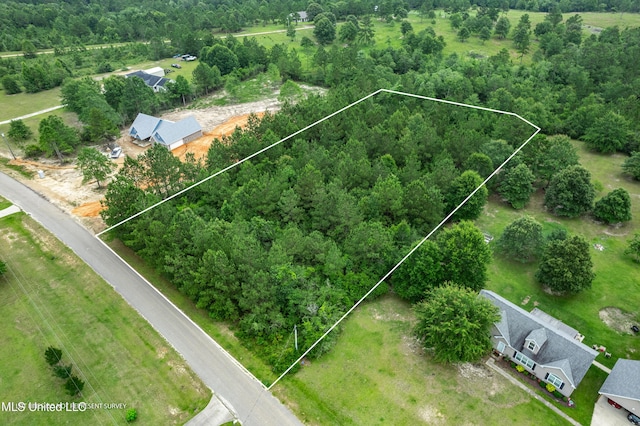 Clear Lake Rd, Perkinston, MS 39573