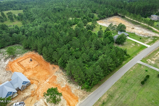 Clear Lake Rd, Perkinston, MS 39573