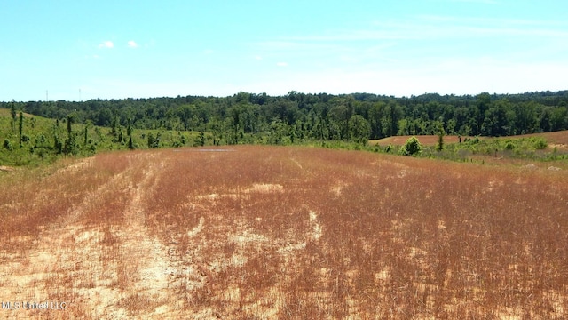 211 Hugh White State Park Rd, Grenada, MS 38901