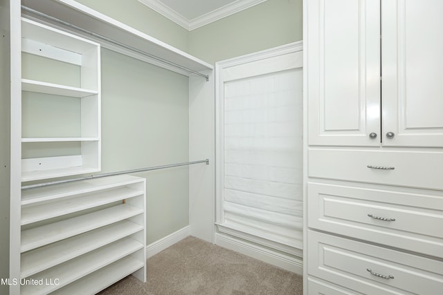 walk in closet featuring carpet