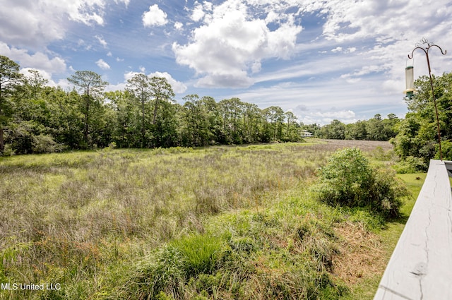 view of local wilderness