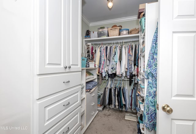 spacious closet featuring light carpet