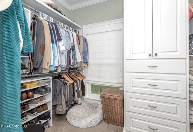 walk in closet featuring carpet flooring