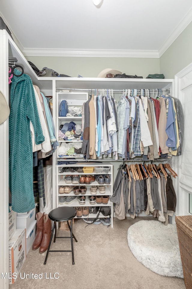 spacious closet with carpet flooring