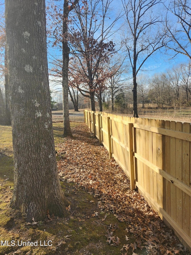 view of yard with a rural view