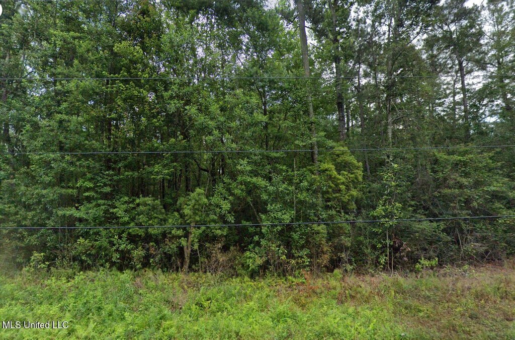 NSN Dogwood Ln, Saucier, MS 39574