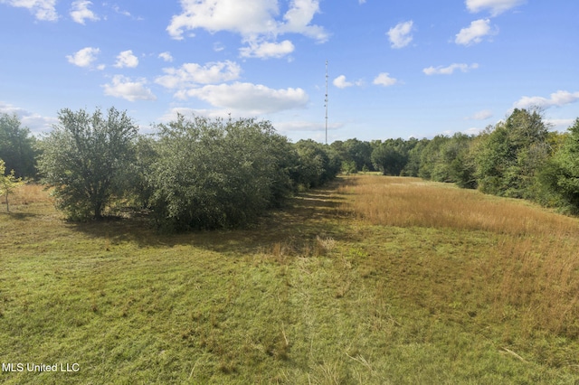 view of landscape featuring a rural view