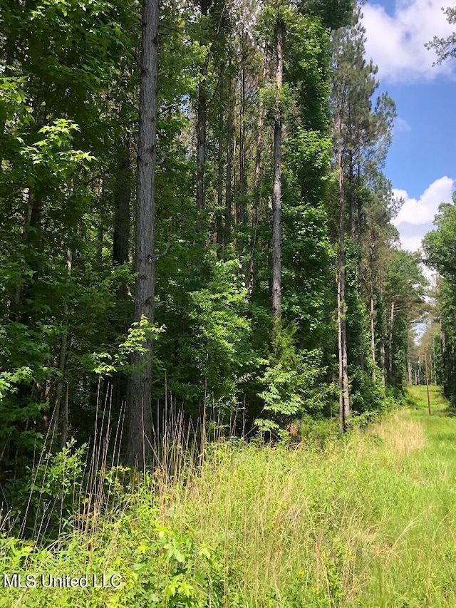 Sand Hill Rd, Lexington MS, 39095 land for sale