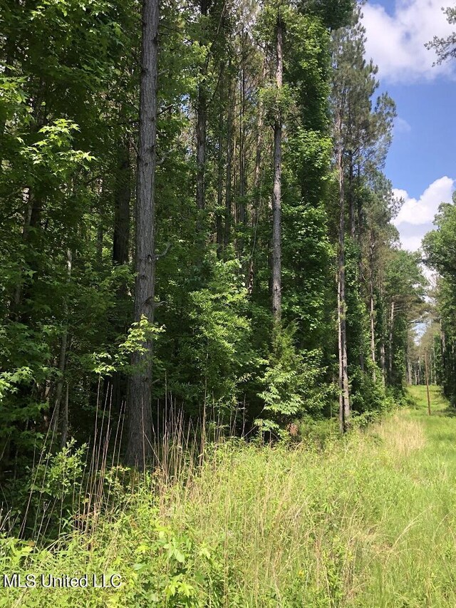 Sand Hill Rd, Lexington, MS 39095