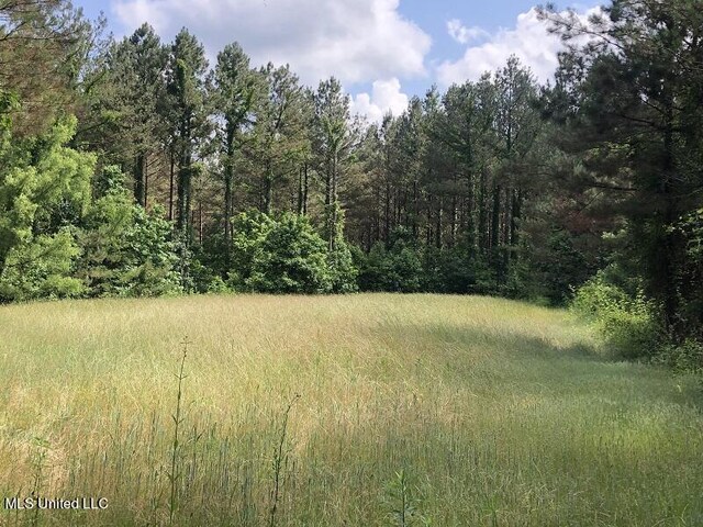 Sand Hill Rd, Lexington, MS 39095