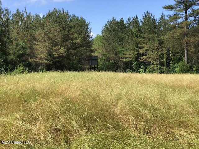Sand Hill Rd, Lexington, MS 39095