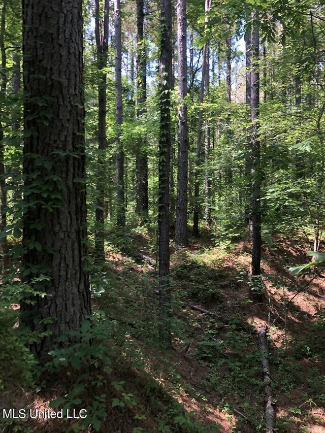 Sand Hill Rd, Lexington, MS 39095