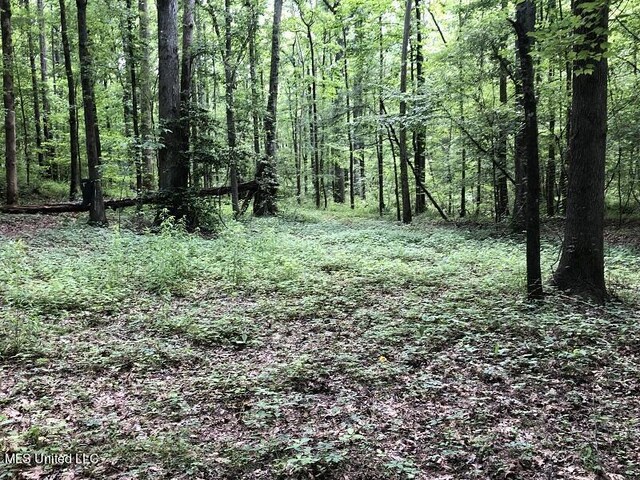 Sand Hill Rd, Lexington, MS 39095