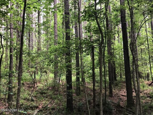 Sand Hill Rd, Lexington, MS 39095