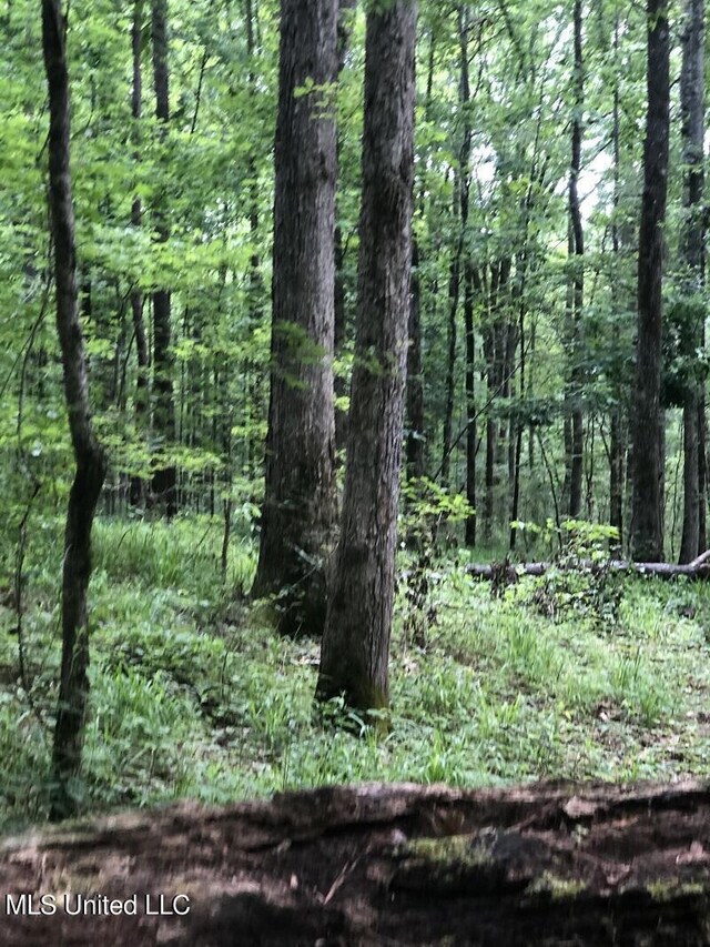 Sand Hill Rd, Lexington, MS 39095