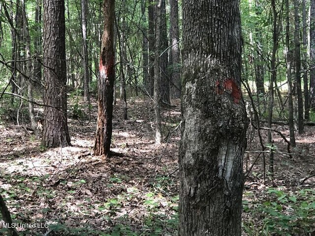 Sand Hill Rd, Lexington, MS 39095