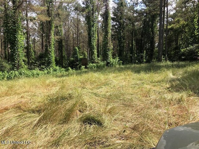 Sand Hill Rd, Lexington, MS 39095