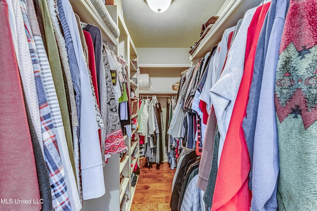 spacious closet featuring wood finished floors