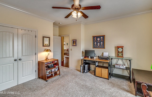 home office featuring a ceiling fan, carpet flooring, crown molding, and baseboards