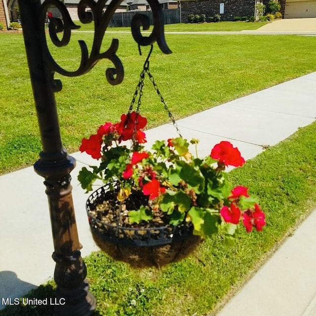 view of home's community featuring a yard