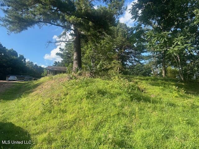 196 Pleasant Hill Rd, Nesbit, MS 38651