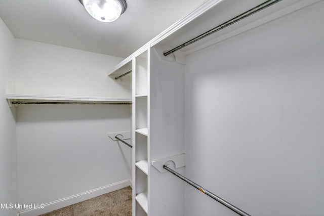 spacious closet with carpet