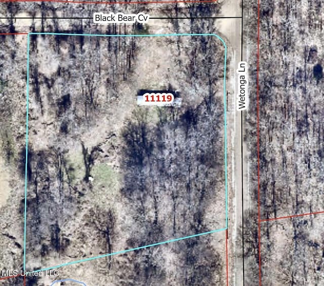 11119 Black Bear Cv, Hernando MS, 38632 land for sale