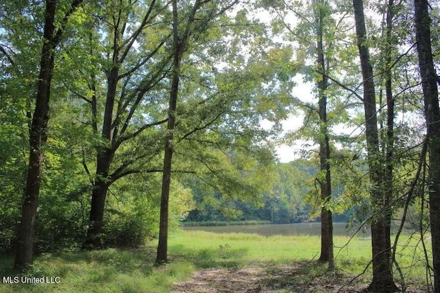 154 Mccarty Rd, Byram MS, 39212 land for sale