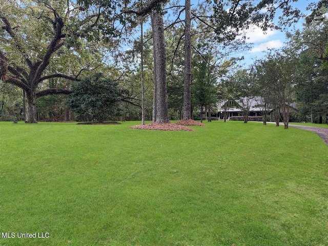 159 Vard Sullivan Rd, Pinola, MS 39149 - view of yard