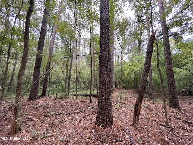 Methodist Home Rd, Jackson MS, 39213 land for sale