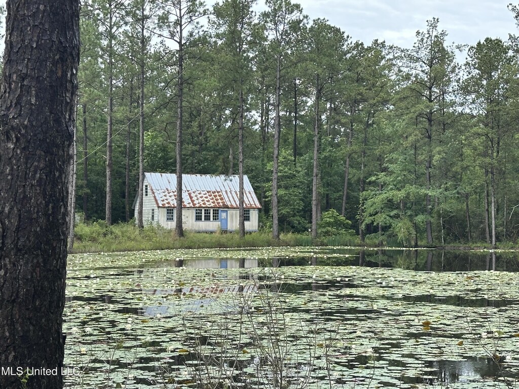 261 Tom Chance Rd, Poplarville, MS 39470 - view of front facade with a forest view, a water view, and an outdoor structure