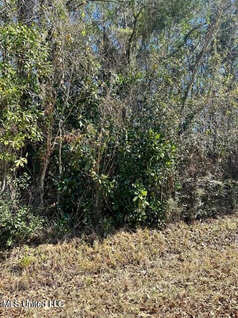 00 Mary Edith St, Ocean Springs MS, 39564 land for sale