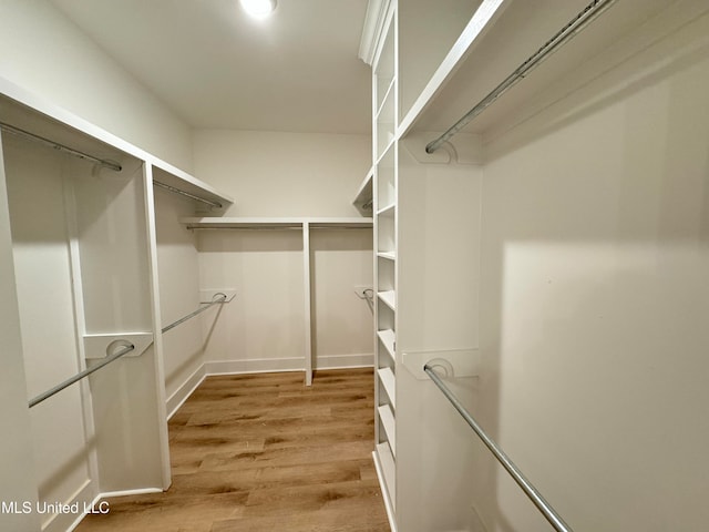 walk in closet with light hardwood / wood-style flooring