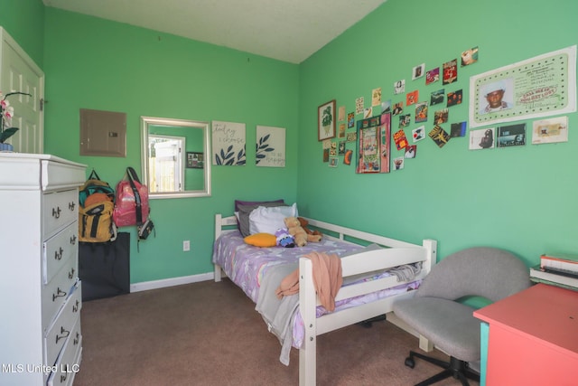 carpeted bedroom with electric panel