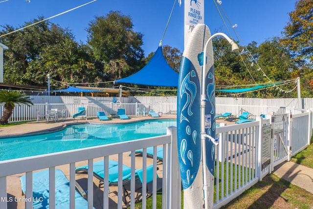 view of swimming pool with a patio