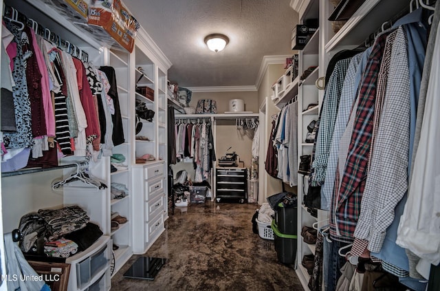 view of spacious closet