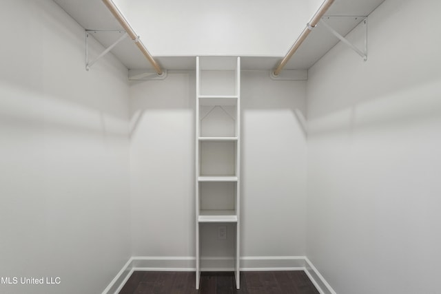 spacious closet featuring dark wood-type flooring