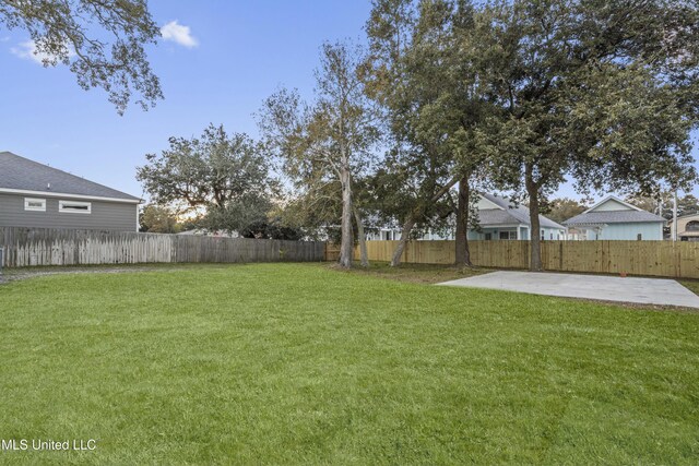 view of yard featuring a patio area