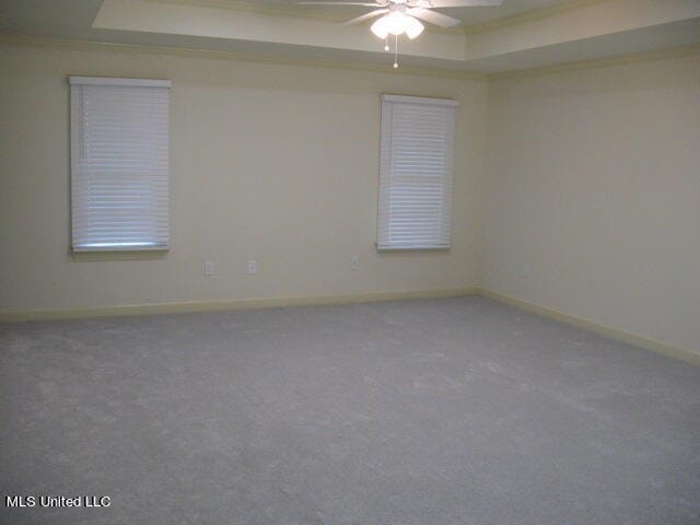 spare room featuring ceiling fan, a raised ceiling, carpet, and ornamental molding